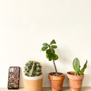 iPhone 11 Heyday case